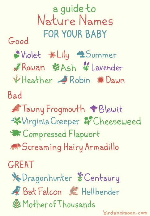 A colorful illustrated guide showing examples of good, bad, and great nature-inspired baby names